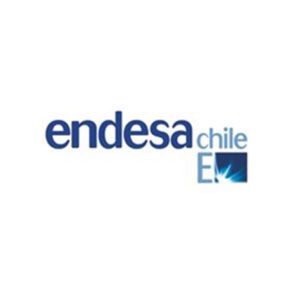 endesa-300x300